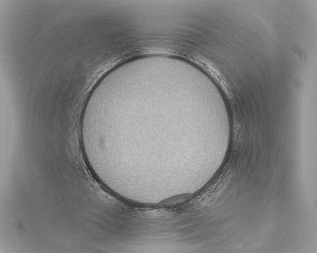 X0000115440385200911251250