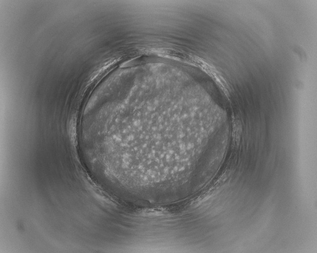 X0000115440386200911251250