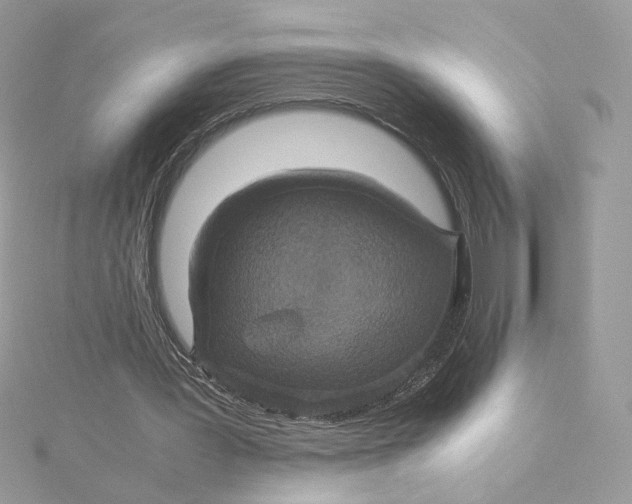 X0000115440387200911251250