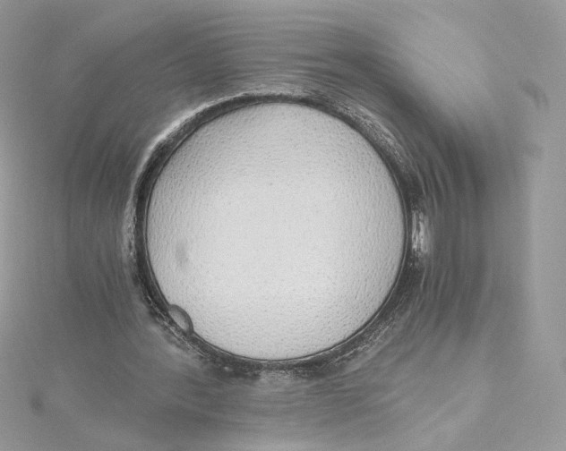 X0000115440388200911251250