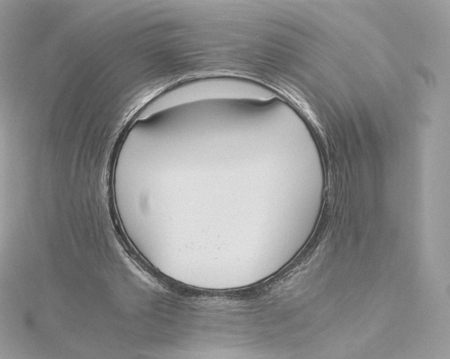 X0000115440389200911251250