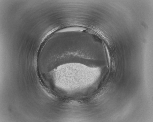 X0000115440390200911251250