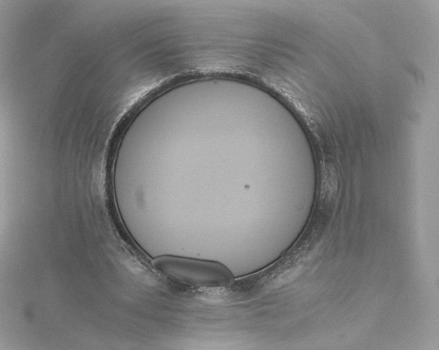 X0000115440391200911251250