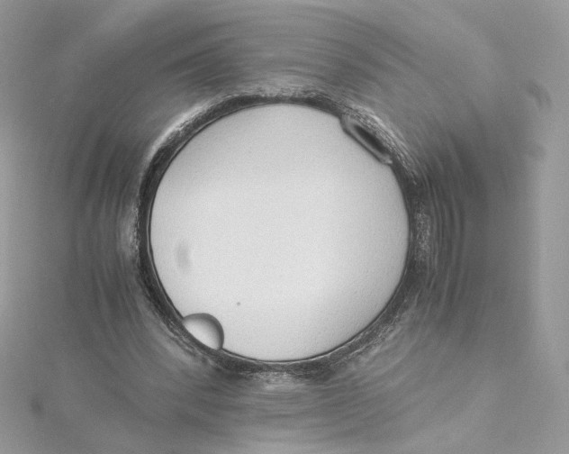 X0000115440392200911251250