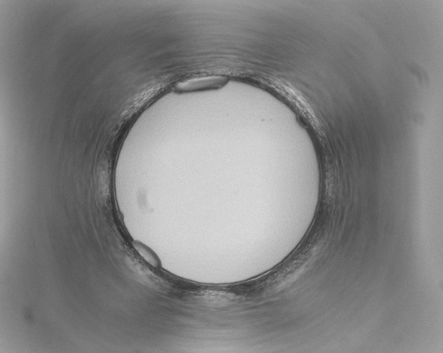 X0000115440393200911251250