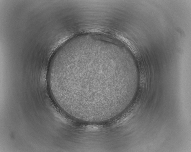 X0000115440394200911251250