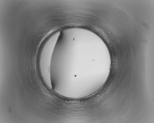 X0000115440395200911251250