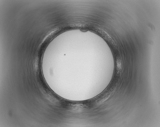 X0000115440396200911251250