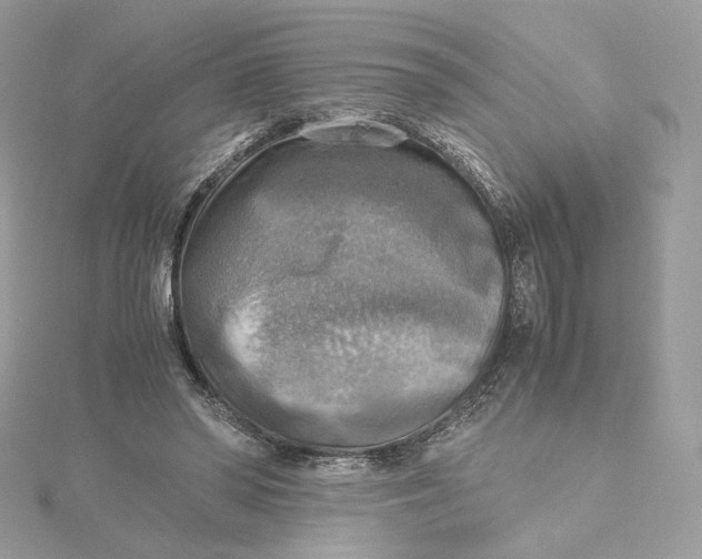 X0000115440398200911251250