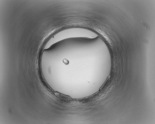 X0000115440399200911251250