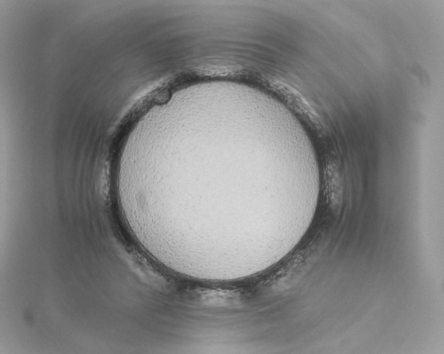 X0000115440400200911251250