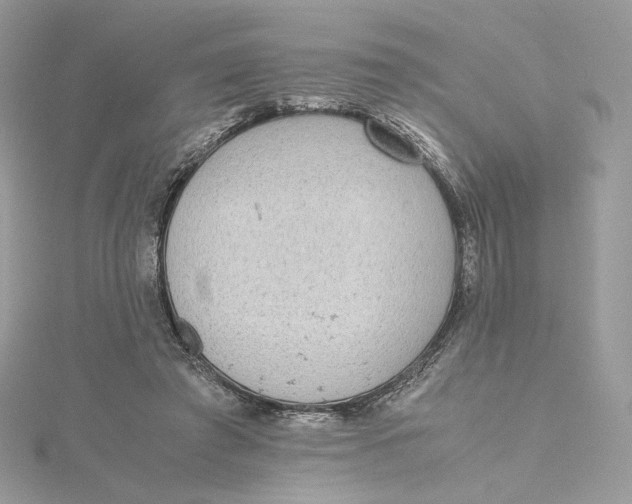 X0000115440401200911251250