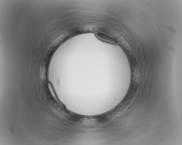 X0000115440403200911251250