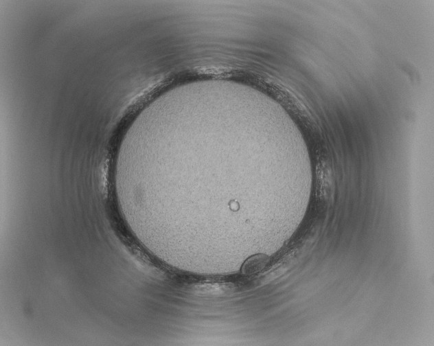 X0000115440404200911251250