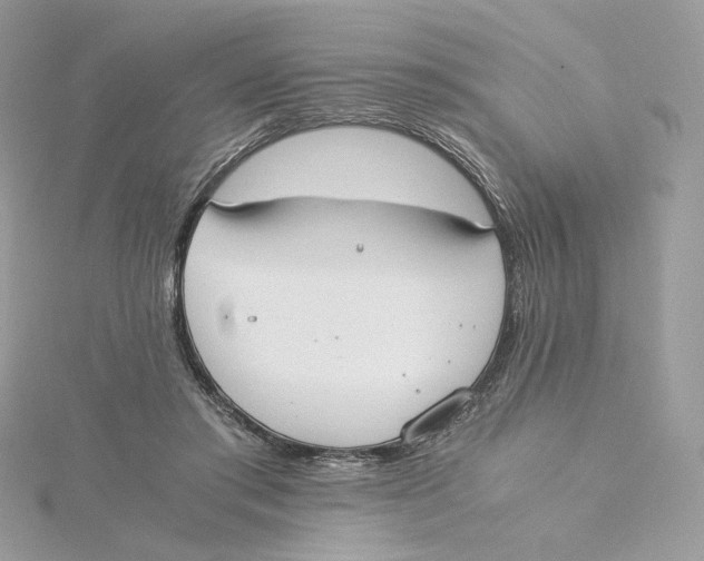 X0000115440405200911251250