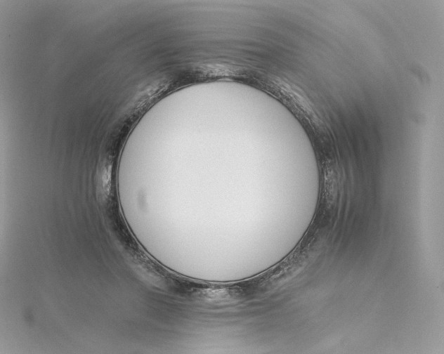 X0000115440406200911251250