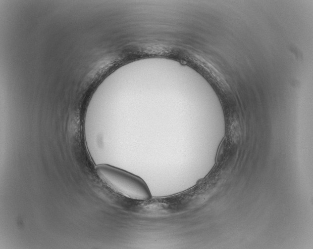 X0000115440407200911251250