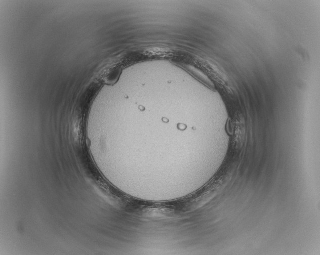 X0000115440408200911251250