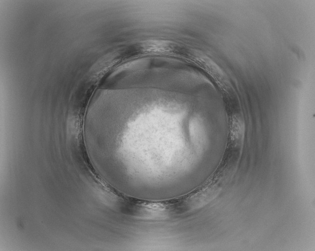 X0000115440409200911251250