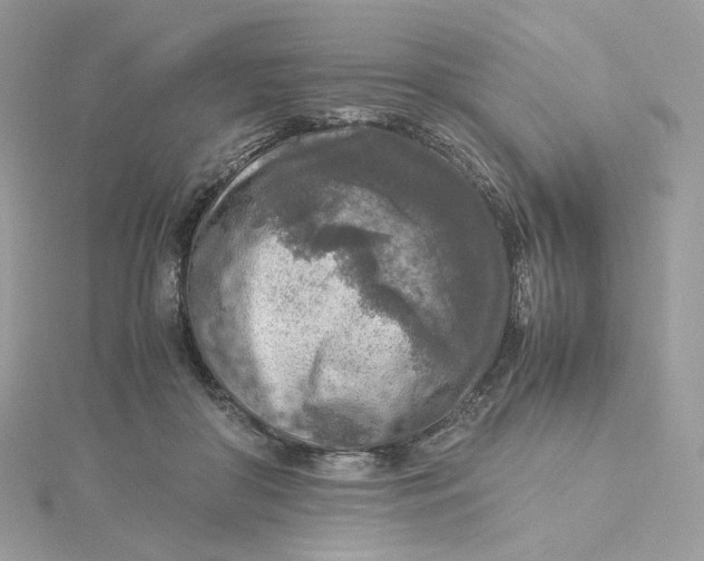 X0000115440410200911251250