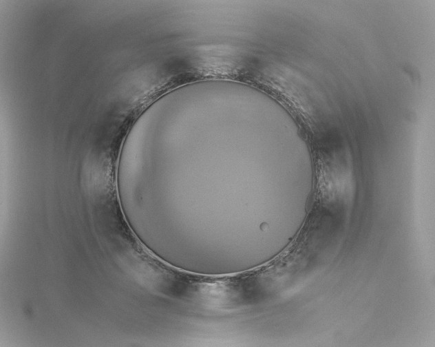 X0000115440411200911251250