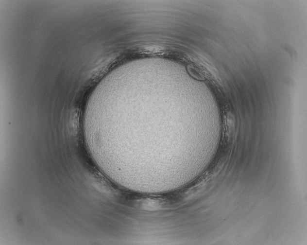 X0000115440412200911251250