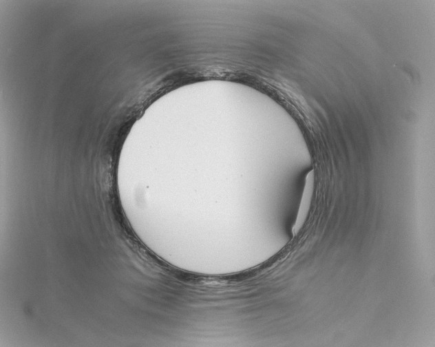 X0000115440413200911251250