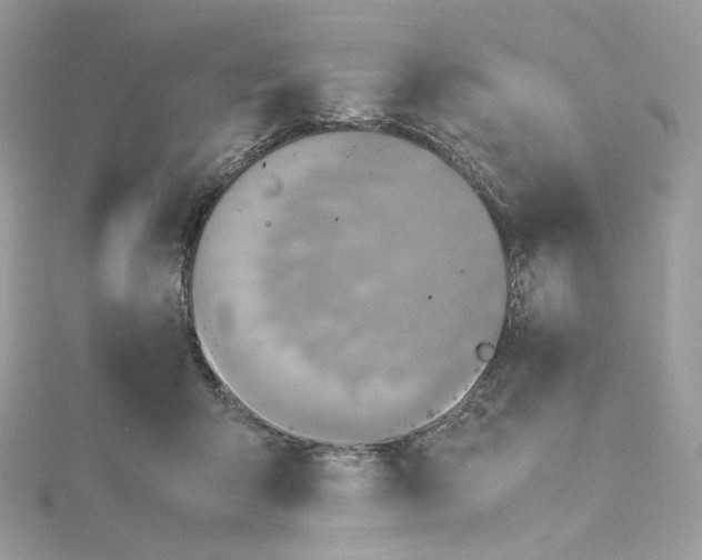 X0000115440415200911251250