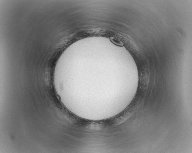 X0000115440416200911251250