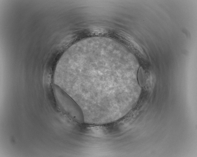 X0000115440417200911251250