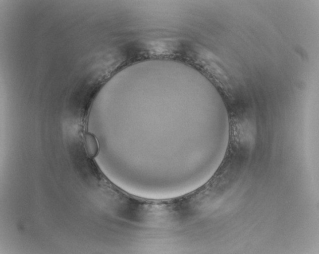 X0000115440419200911251250