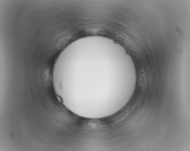 X0000115440420200911251250