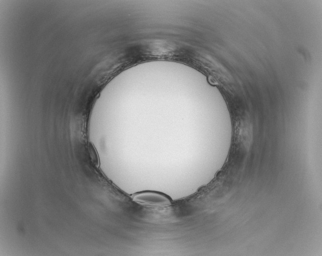 X0000115440421200911251250