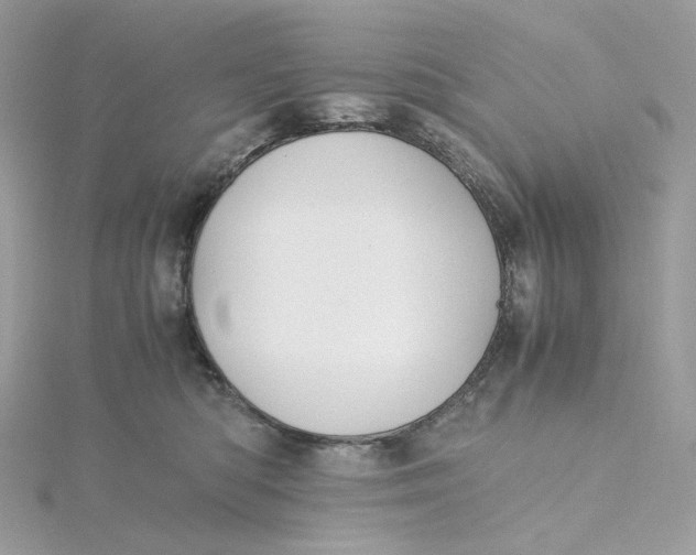 X0000115440422200911251250