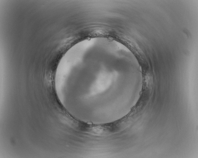 X0000115440423200911251250