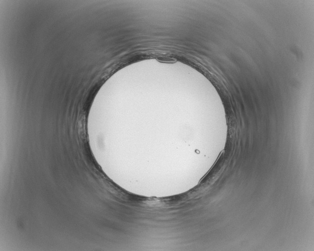 X0000115440425200911251250