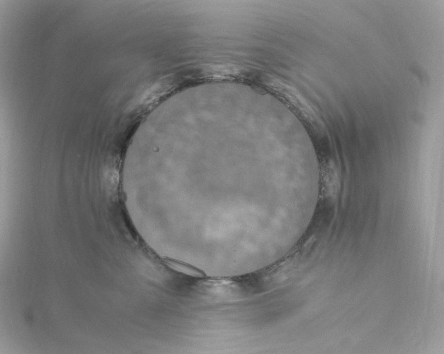 X0000115440427200911251250