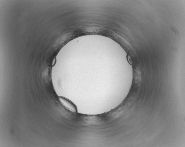 X0000115440428200911251250