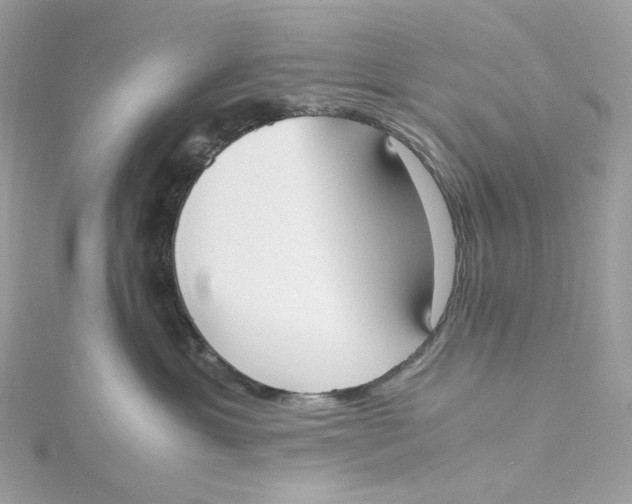 X0000115440429200911251250