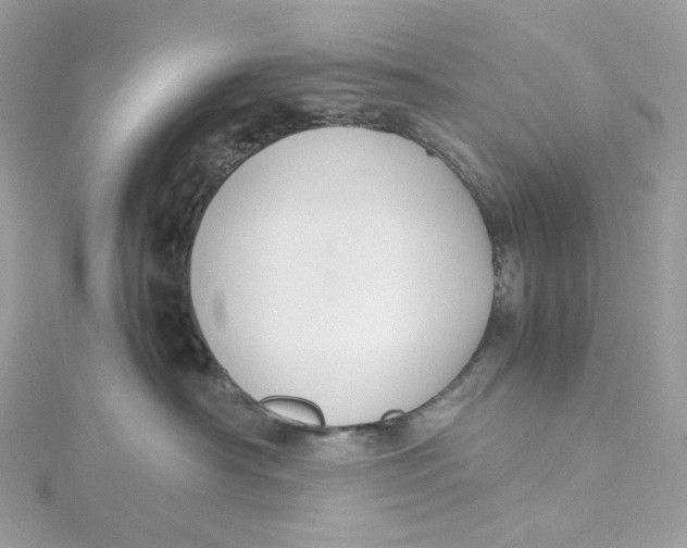 X0000115440430200911251250