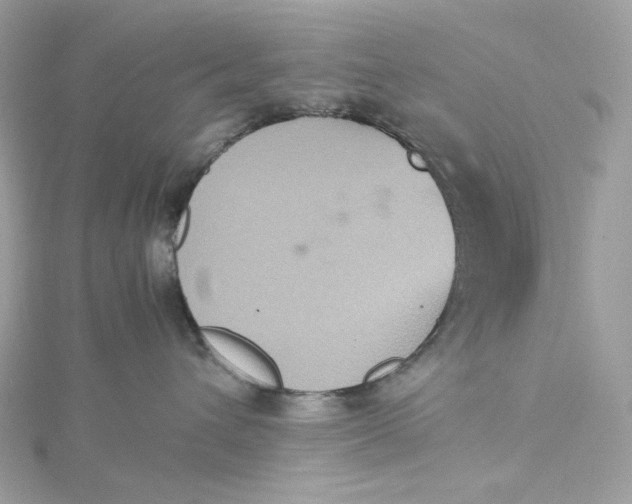 X0000115440432200911251249