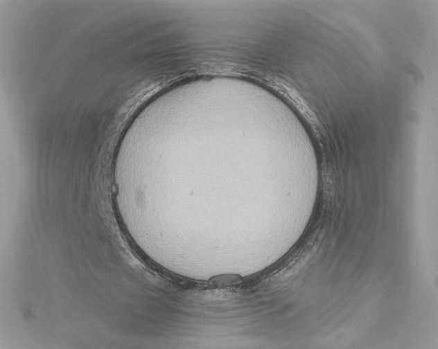 X0000115440433200911251249