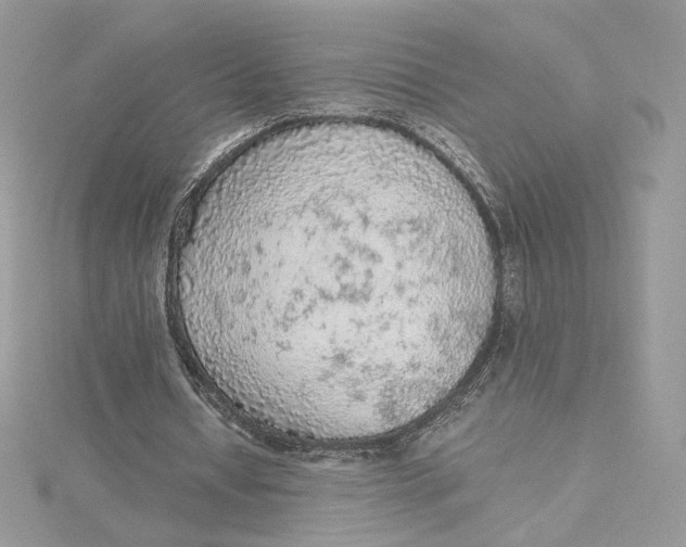 X0000115440434200911251249