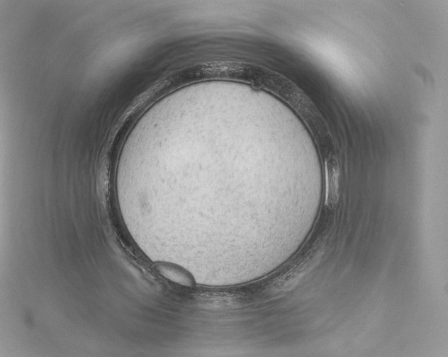 X0000115440435200911251249