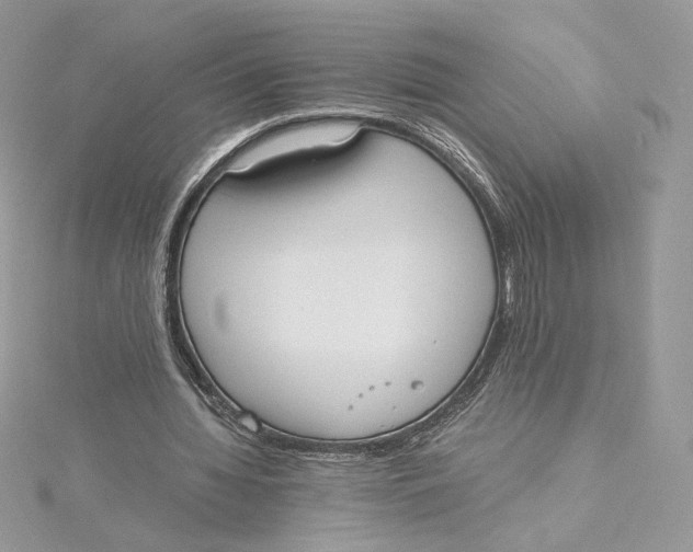 X0000115440436200911251249