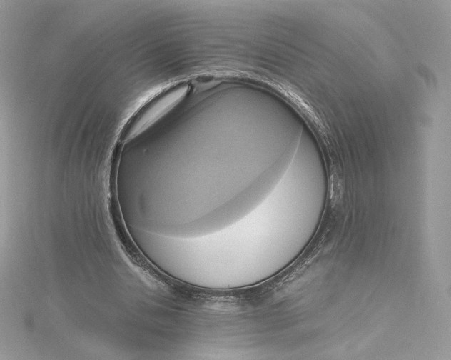 X0000115440438200911251249