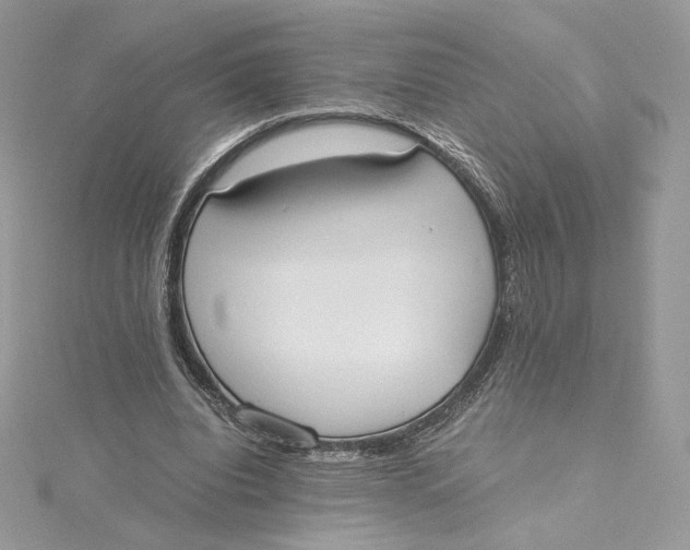 X0000115440440200911251249