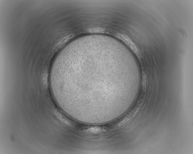 X0000115440441200911251249