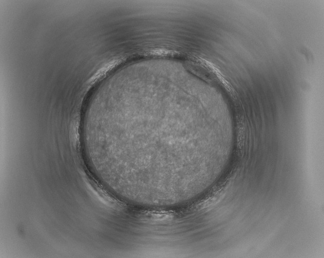 X0000115440443200911251249