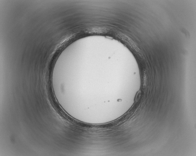 X0000115440444200911251249